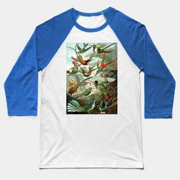 Hummingbirds Trochilidae by Ernst Haeckel Baseball T-Shirt by MasterpieceCafe